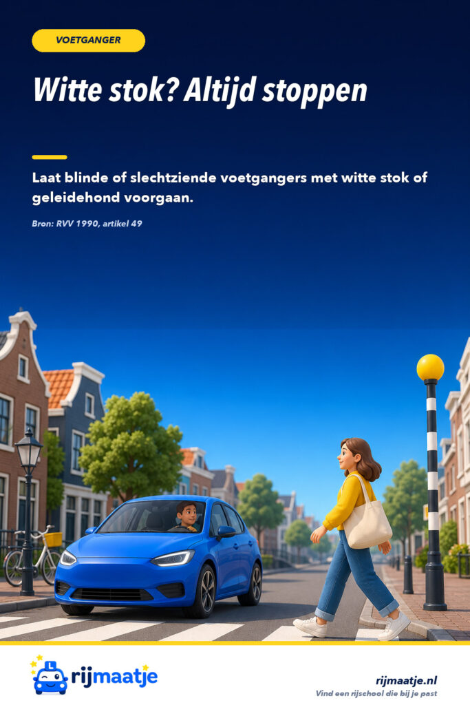 Wanneer moet je een blinde voetganger voor laten gaan? – Rijmaatje