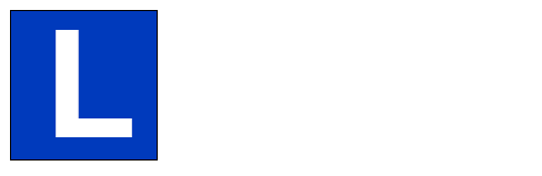 Rijschool op Zoom