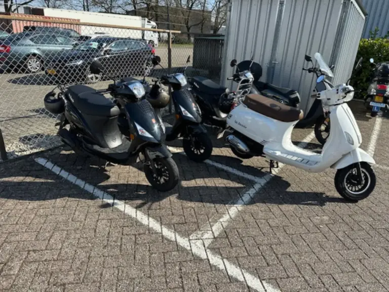 Mayar Rijopleidingen