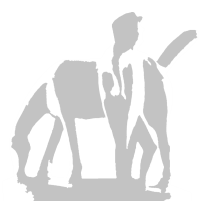 Rijschool Groningen