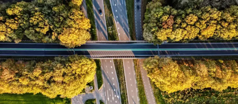 Rijschool in Ede, PRO Lessen geeft ook rijles in Ede
